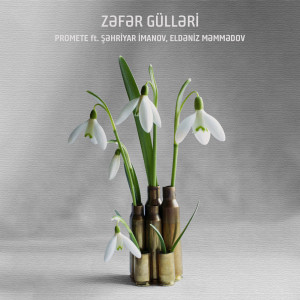 Listen to Zəfər Gülləri song with lyrics from Promete