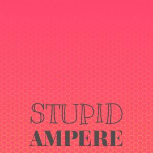 Listen to Stupid Ampere song with lyrics from sandz