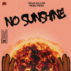 Dojokillem的專輯No Sunshine (feat. Peso Peso) (Explicit)