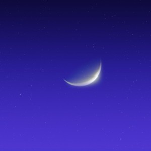 Dengarkan lagu Palmižana nyanyian Alka Vuica dengan lirik