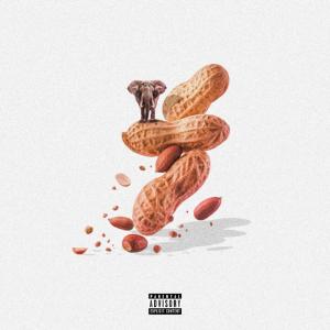 D!on的專輯June 10th (Peanuts 2 Elephants Freestyle) [Explicit]