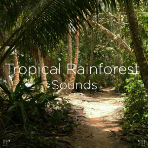 Listen to Binaural River Flowing song with lyrics from BodyHI