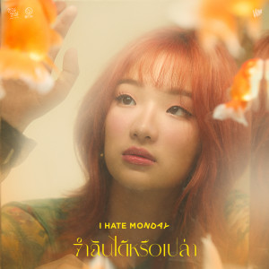 อัลบัม จำฉันได้หรือเปล่า (ซนซน 40 ปี GMM GRAMMY) - Single ศิลปิน I HATE MONDAY