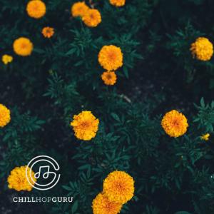 dariusrwalker的專輯Marigold and Cosmos