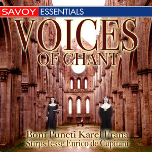Various Artists的專輯Voices Of Chant