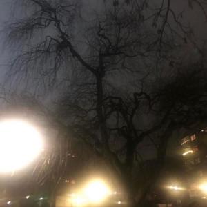 收聽sweeep的Mistica歌詞歌曲