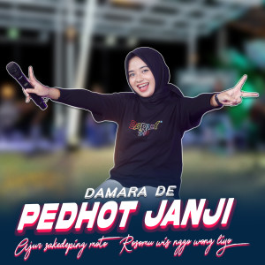 Dengarkan lagu Pedhot Janji nyanyian Damara De dengan lirik