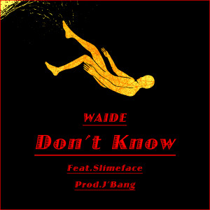 Listen to Don't know song with lyrics from Waide