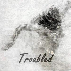 Listen to Troubled song with lyrics from Arshia Alipour