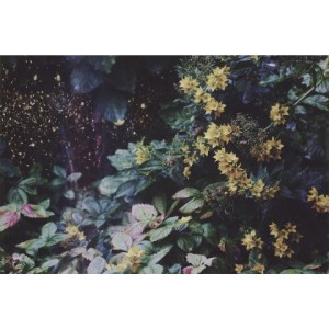 Listen to but I still got something to love. (完整版) song with lyrics from KAII