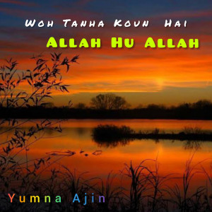 Listen to Woh Tanha Koun Hai Allah Hu Allah song with lyrics from Yumna Ajin