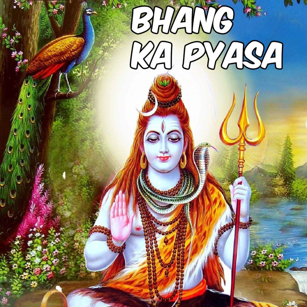 Bhang Ka Pyasa