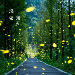 Listen to 流萤漫天 (其他) song with lyrics from 梦想的帅子