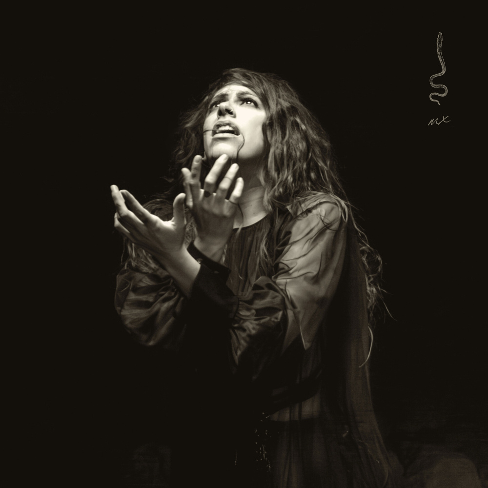 Pantera (Acústico)