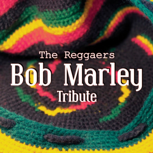 ดาวน์โหลดและฟังเพลง Is This Love พร้อมเนื้อเพลงจาก The Reggaers