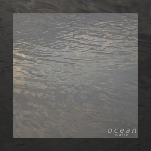 อัลบัม Ocean ศิลปิน Walsh