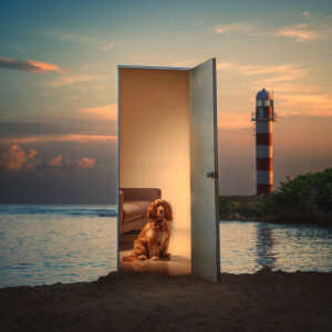 default playlist img