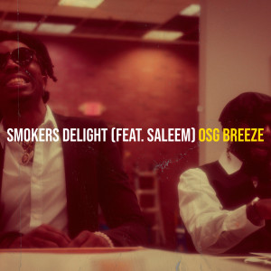 Saleem的专辑Smokers Delight (Explicit)