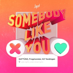 收聽FrogMonster的Somebody Like You歌詞歌曲