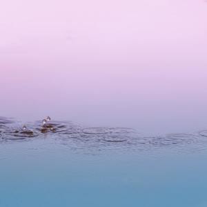收聽Asian Zen Meditation的Eternal Gratitude歌詞歌曲