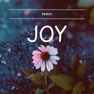 Branco的專輯Joy (demo)