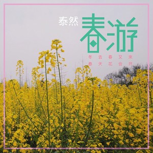 收聽泰然 TAIRAN的答案歌詞歌曲