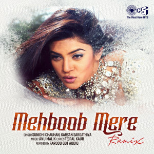 อัลบัม Mehboob Mere (Remix) ศิลปิน Farooq Got Audio