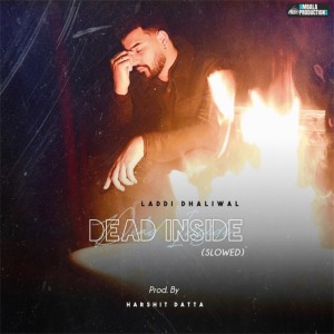 Listen to Dead Inside (Slowed + Reverb) song with lyrics from Laddi Dhaliwal