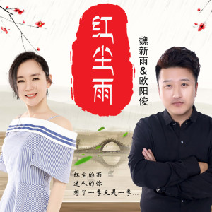 收聽魏新雨的紅塵雨-DJ何鵬版歌詞歌曲