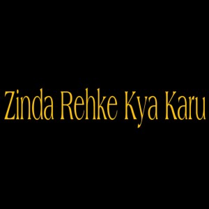 Dengarkan Zinda Rehke Kya Karu lagu dari Amal Malik dengan lirik