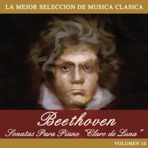 收聽Ludwig van Beethoven的Sonata para Piano No. 10 en G Major Op. 14 No. 2: Allegro (其他)歌詞歌曲