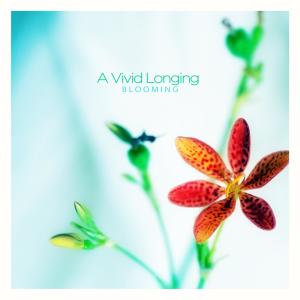 Album A long-lost love oleh Blooming