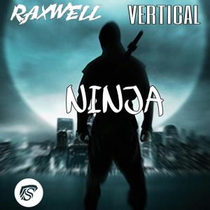Listen to NINJA (Original Mix) song with lyrics from RAXWELL