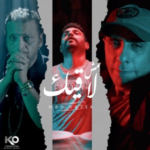 Album مش لاقيك from Wael el Fashny