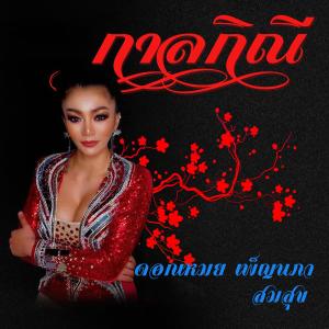 อัลบัม กาลกินี - Single ศิลปิน ดอกเหมย เพ็ญนภา สมสุข