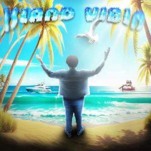 Album Island Vibin (Explicit) from 