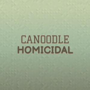 Dengarkan Canoodle Homicidal lagu dari Cennet dengan lirik