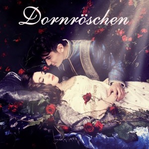 ดาวน์โหลดและฟังเพลง Der Kampf พร้อมเนื้อเพลงจาก Marian Lux