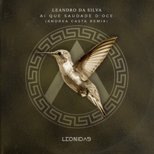 ดาวน์โหลดและฟังเพลง Ai Que Saudade D'Oce (Andrea Casta Remix) พร้อมเนื้อเพลงจาก Leandro Da Silva