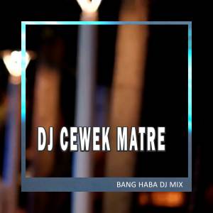 Album DJ Cewek Matre (Remix) oleh Joel Keudah