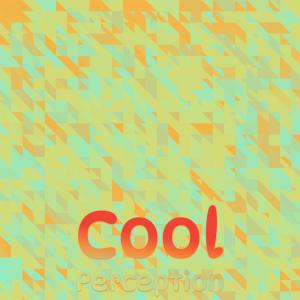 Various Artists的專輯Cool Perception