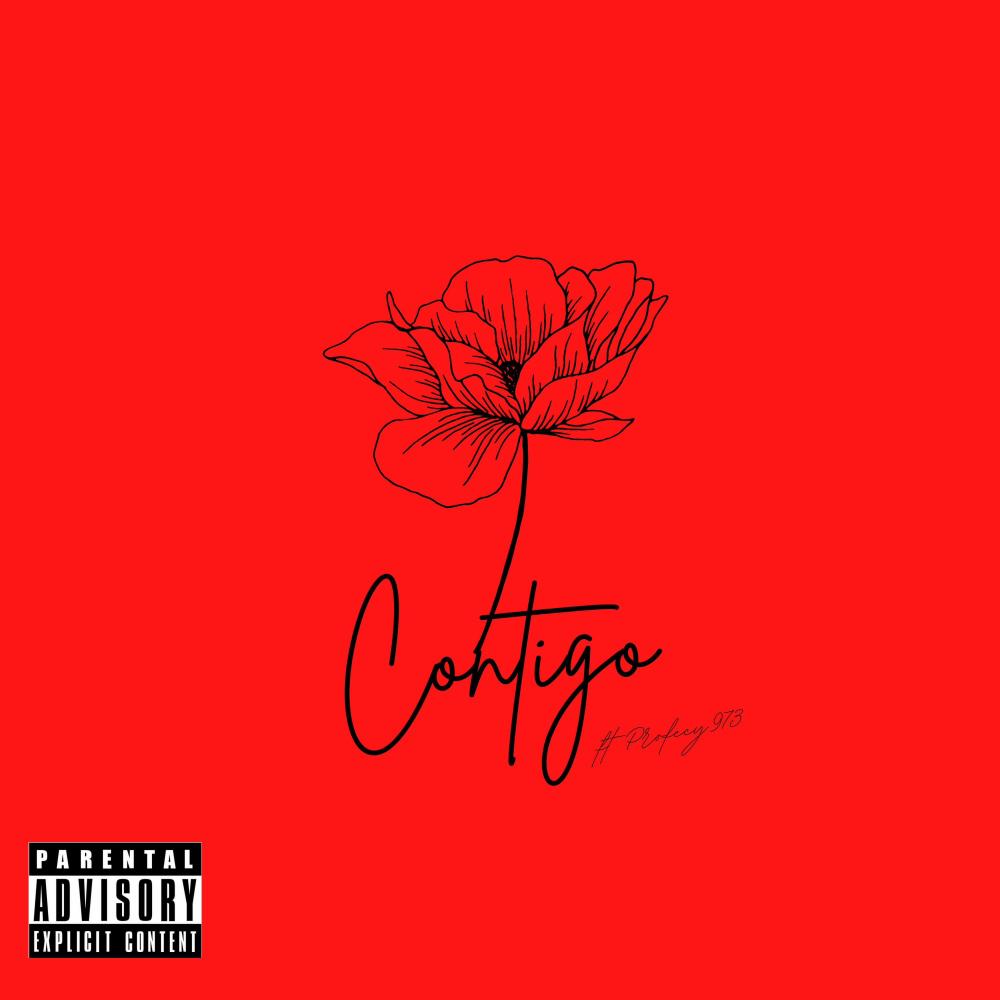 Contigo (feat. Profecy973) (Explicit)