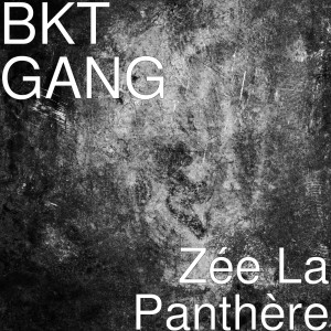 Dengarkan lagu Zée La Panthère (Explicit) nyanyian BKT Gang dengan lirik