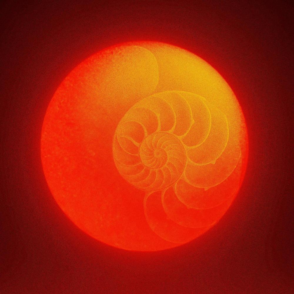 The Golden Ratio