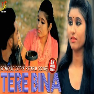 Album Tere Bina oleh Ajeet Srivastava