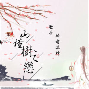 Album 山楂树之恋 from 孤者沈韩