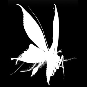 Listen to MOTHZ MOSH PiT II (Explicit) song with lyrics from BADBOYKING