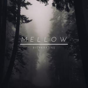 Listen to Mellow song with lyrics from Bitykradne