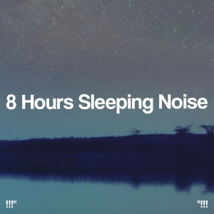 Album !!!" 8 Hours Sleeping Noise "!!! from White Noise