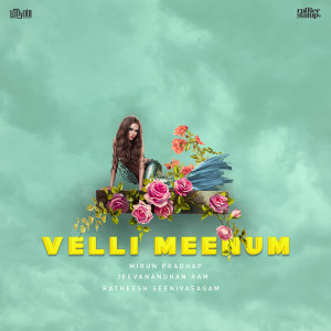Jeevanandhan Ram的专辑Velli Meenum